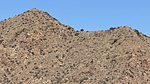 photo thumbnail #14