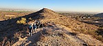 photo thumbnail #2