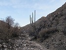photo thumbnail #10