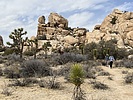 photo thumbnail #15