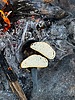 photo thumbnail #8