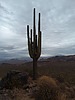 photo thumbnail #3