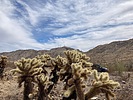 photo thumbnail #11