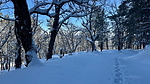 photo thumbnail #6