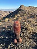 photo thumbnail #7