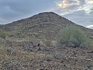 photo thumbnail #1