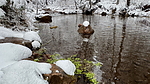 photo thumbnail #10