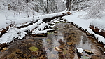 photo thumbnail #12