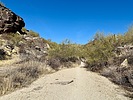 photo thumbnail #3