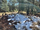 photo thumbnail #2
