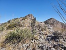 photo thumbnail #8