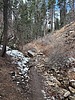 photo thumbnail #2