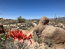 photo thumbnail #5