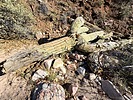 photo thumbnail #3