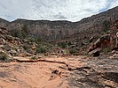 photo thumbnail #13
