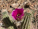 photo thumbnail #5