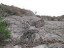 photo thumbnail #14