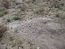 photo thumbnail #15