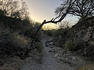 photo thumbnail #3