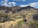 photo thumbnail #4