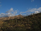 photo thumbnail #3
