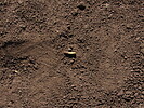 photo thumbnail #11