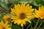 photo thumbnail #11