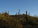 photo thumbnail #1