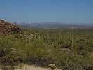 photo thumbnail #11