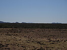 photo thumbnail #15