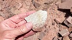photo thumbnail #4