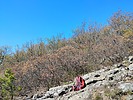 photo thumbnail #5