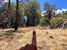 photo thumbnail #10