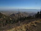 photo thumbnail #8