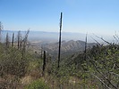 photo thumbnail #14