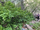 photo thumbnail #8