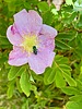 photo thumbnail #6