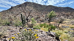 photo thumbnail #14