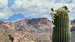 photo thumbnail #15