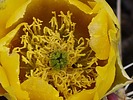photo thumbnail #12