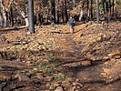 photo thumbnail #3