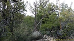 photo thumbnail #11