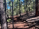 photo thumbnail #5