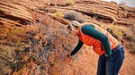 photo thumbnail #4