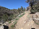 photo thumbnail #5