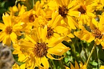 photo thumbnail #6