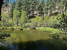 photo thumbnail #3