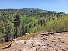 photo thumbnail #6
