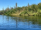 photo thumbnail #2