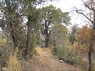 photo thumbnail #7